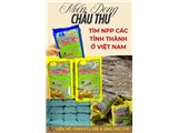 Tìm npp toàn quốc miến dong châu thư