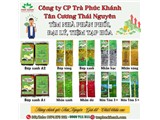 Tìm nhà phân phối, đại lý trà thái nguyên trên toàn quốc