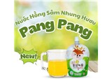 Tìm đại lý phân phối nước hồng sâm nhung hươu pang pang kids plus
