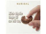 Tìm đại lý/ shop hợp tác hạt điều rang muối nuridal - w180 chuẩn xuất khẩu